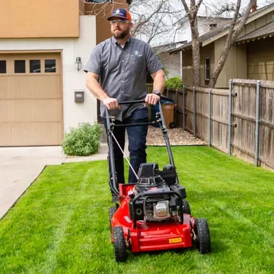 mowing green healthy lawn