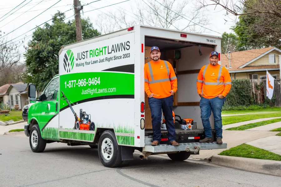 Just Right Lawn
