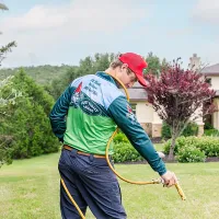 watering-lawn