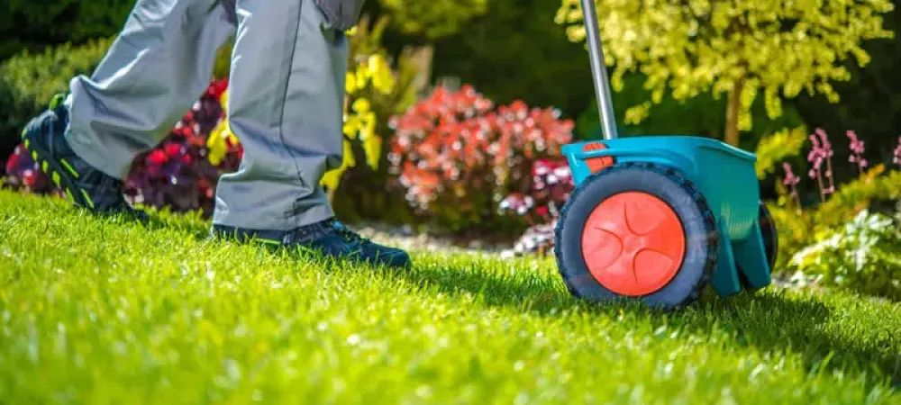 person pushing seeding machine in yard