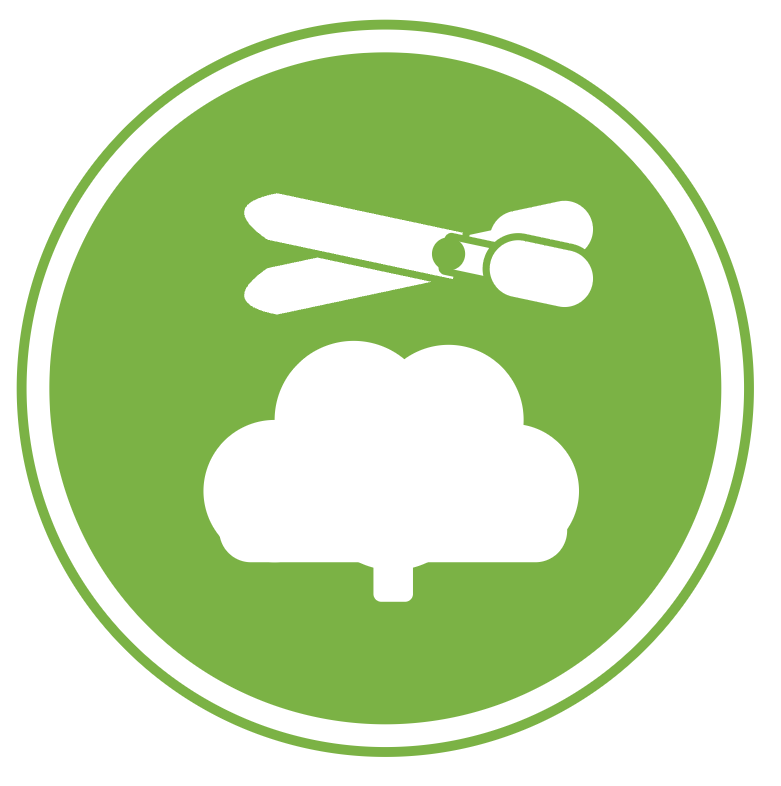 Shrub trimming icon