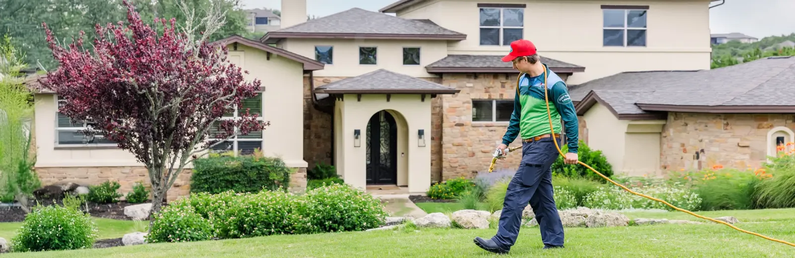 Spraying lawn