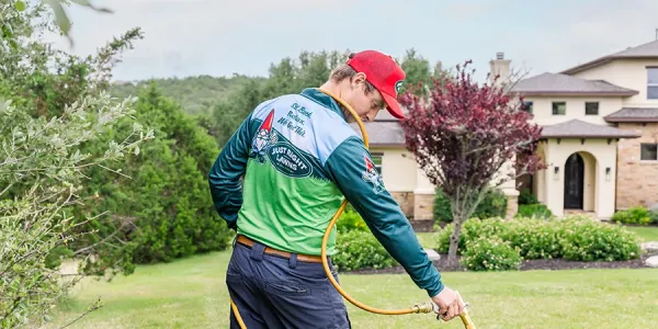 watering-lawn